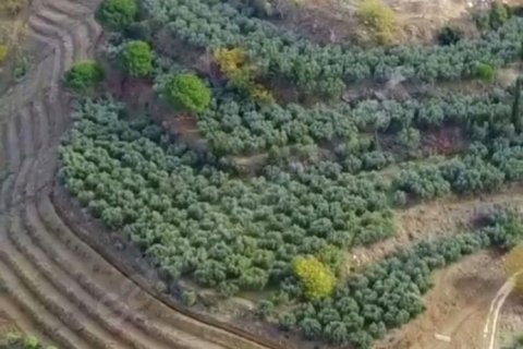 Land  in Selcuk, Izmir, Türkei Nr. 223246