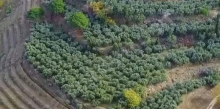 Arsa   Selçuk, İzmir, Türkiye №223246