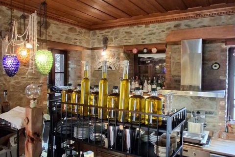 Forretning  i Selcuk, Izmir, Tyrkiet Nr. 223235 - 3