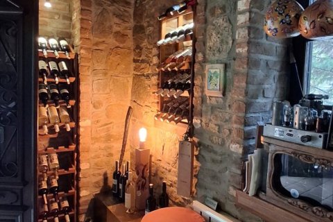 Forretning  i Selcuk, Izmir, Tyrkiet Nr. 223235 - 5