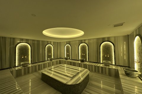 2+1 Leilighet i Demirtas, Alanya, Antalya, Tyrkia Nr. 226688 - 21