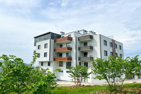 Erhvervsejendom i Trabzon, Tyrkiet Nr. 228581 - 3