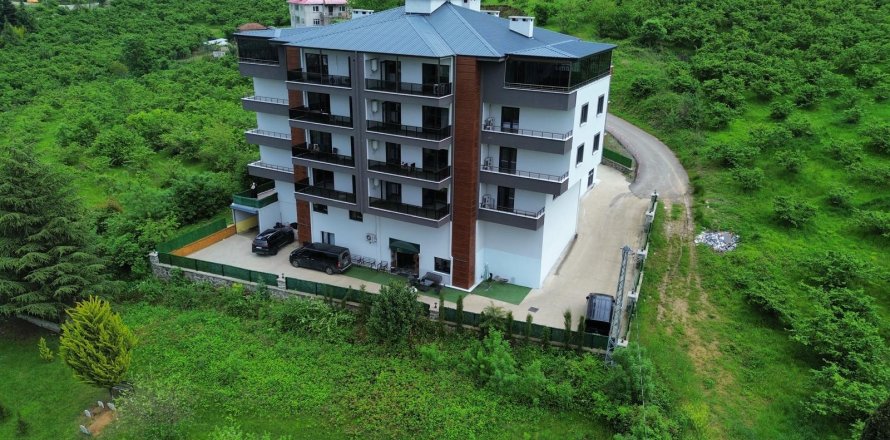 Erhvervsejendom i Trabzon, Tyrkiet Nr. 228581