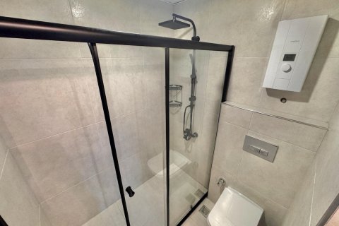 1+1 Wohnung in Alanya, Antalya, Türkei Nr. 215029 - 15