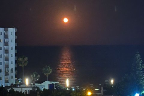 Продажа квартиры в Мерсине, Турция 2+1, 85м2, №212564 – фото 3