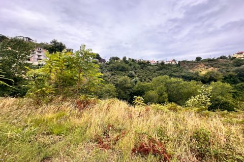 Tomt i Akcaabat, Trabzon, Tyrkia Nr. 232191 - 6