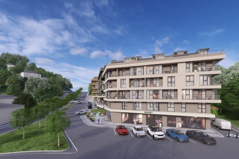 2+1 Wohnung  in Beykoz, Istanbul, Türkei Nr. 221085 - 2