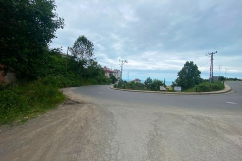 Daire 1+1 Trabzon, Türkiye №228503 - 12