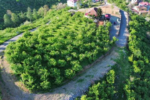 Продажа земельного участка  в Трабзоне, Турция, №228501 – фото 15