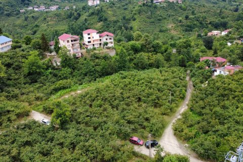 Продажа земельного участка  в Арсине, Трабзоне, Турция, №237528 – фото 10