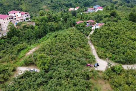 Продажа земельного участка  в Арсине, Трабзоне, Турция, №237528 – фото 9