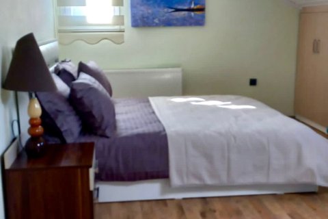 Commercial property for sale  in Fethiye, Mugla, Turkey, 3 bedrooms, 220m2, No. 225767 – photo 17