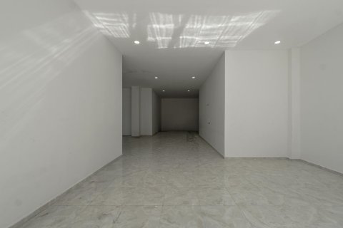 Gewerbeimmobilien  in Alanya, Antalya, Türkei Nr. 212213 - 13