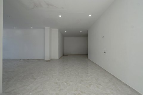 Gewerbeimmobilien  in Alanya, Antalya, Türkei Nr. 212213 - 15