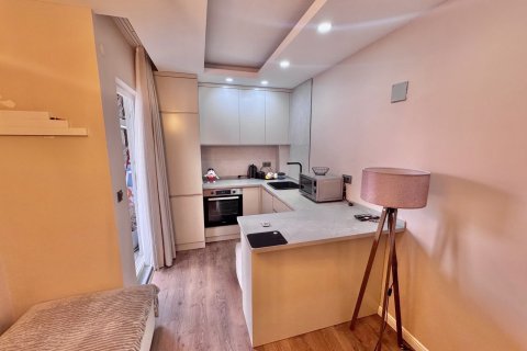 1+1 Wohnung in Alanya, Antalya, Türkei Nr. 215029 - 12