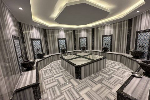 1+0 Wohnung  in Alanya, Antalya, Türkei Nr. 237934 - 21