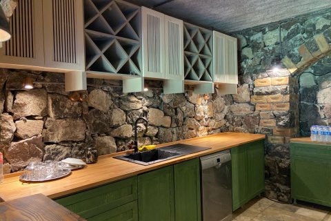 Villa i Izmir, Tyrkiet Nr. 212697 - 21