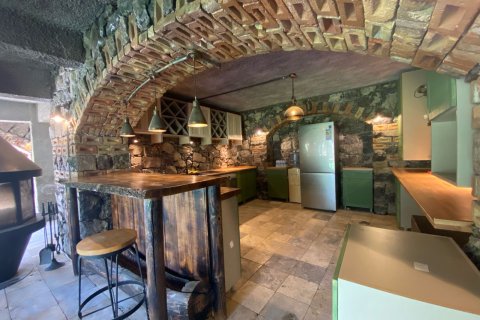 Villa i Izmir, Tyrkiet Nr. 212697 - 20