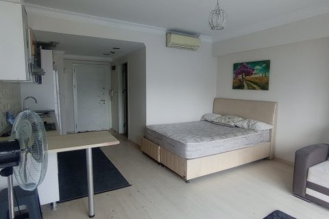 1+0 Lägenhet  i Esenyurt, istanbul, Turkiet Nr. 216998 - 7