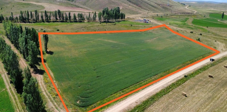 Tömma i Bayburt, Turkiet Nr. 228571