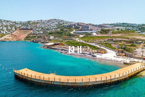 3+1 Wohnung  in Yalikavak, Mugla, Türkei Nr. 216124 - 14