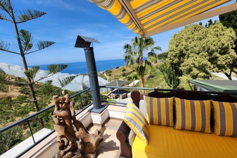 4+1 Villa  i Alanya, Antalya, Turkiet Nr. 223281 - 13