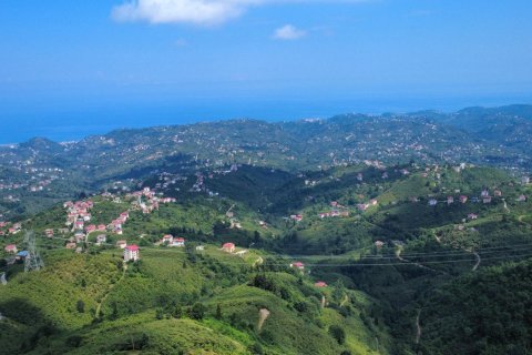 Tomt  i Arsin, Trabzon, Tyrkia Nr. 232192 - 14