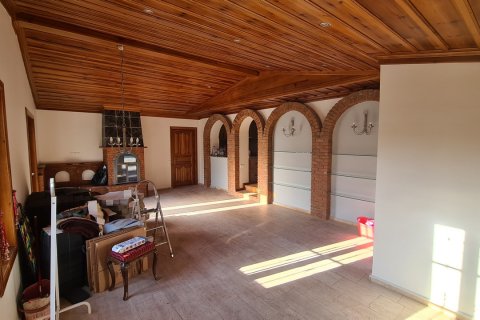 in Kusadasi, Aydin, Türkei Nr. 228652 - 7