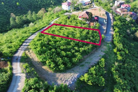 Продажа земельного участка  в Трабзоне, Турция, №228501 – фото 2