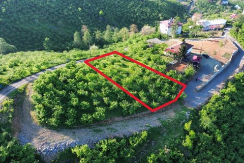 Земельный участок в Трабзоне, Турция №228501