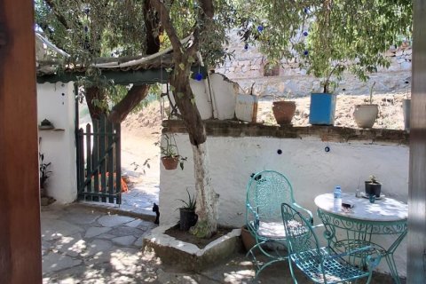 Продажа коммерческой недвижимости  в Сельчуке, Измире, Турция, 225м2, №223247 – фото 13