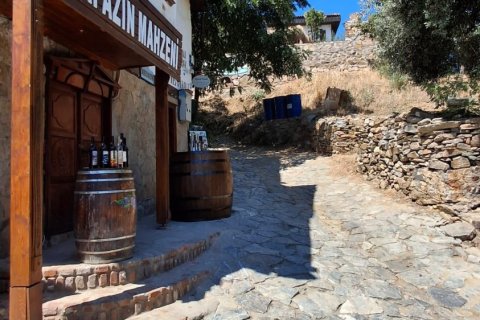 Продажа коммерческой недвижимости  в Сельчуке, Измире, Турция, 225м2, №223247 – фото 12