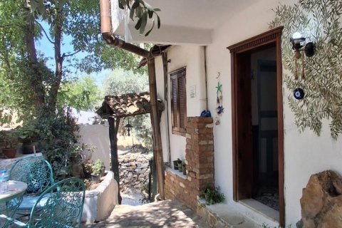 Продажа коммерческой недвижимости  в Сельчуке, Измире, Турция, 225м2, №223247 – фото 10