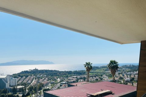 in Kusadasi, Aydin, Türkei Nr. 228659 - 11