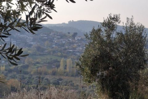 Продажа  в Сельчуке, Измире, Турция, 5380м2, №223248 – фото 2