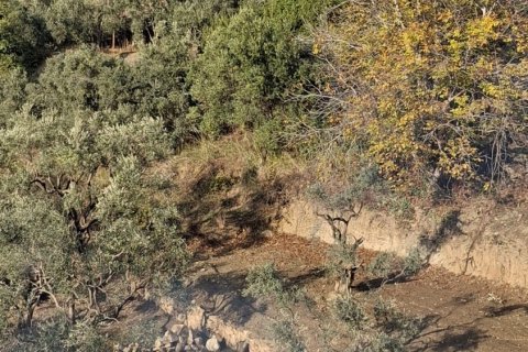 Продажа  в Сельчуке, Измире, Турция, 5380м2, №223248 – фото 3