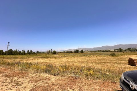 Tömma i Bayburt, Turkiet Nr. 228571 - 12