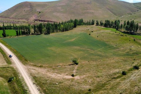 Tömma i Bayburt, Turkiet Nr. 228571 - 13