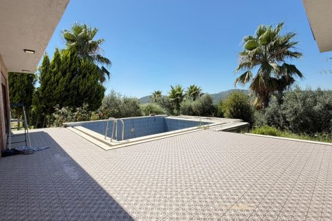 in Kusadasi, Aydin, Türkei Nr. 228649 - 7