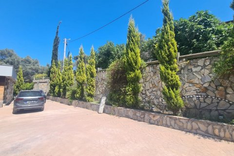 in Kusadasi, Aydin, Türkei Nr. 228649 - 9