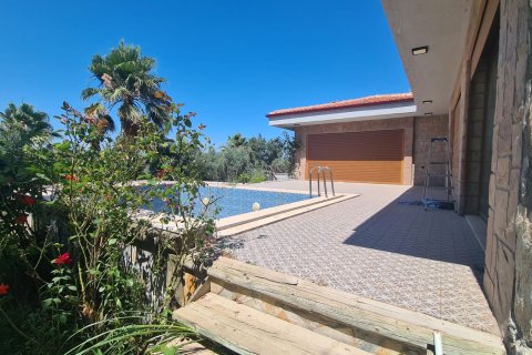 in Kusadasi, Aydin, Türkei Nr. 228649 - 10