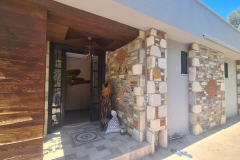 in Kusadasi, Aydin, Türkei Nr. 228649 - 11