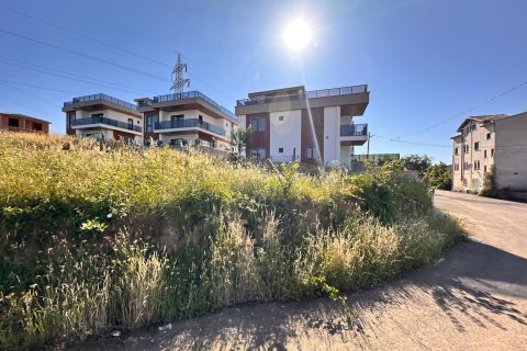 Tömma i Trabzon, Turkiet Nr. 228566 - 8