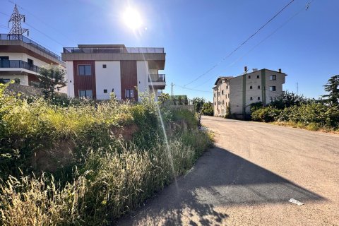 Tömma i Trabzon, Turkiet Nr. 228566 - 10
