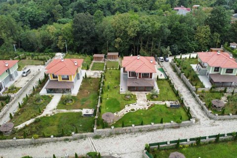 4+1 Villa in Trabzon, Turkey No. 228572