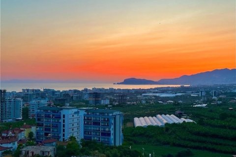 1+1 Leilighet i Mahmutlar, Antalya, Tyrkia Nr. 238025 - 7