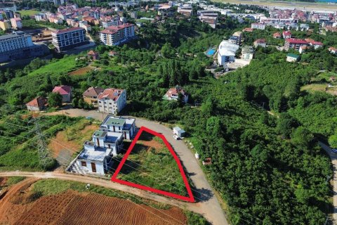Tömma i Trabzon, Turkiet Nr. 228566 - 2