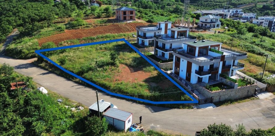 Tömma i Trabzon, Turkiet Nr. 228566