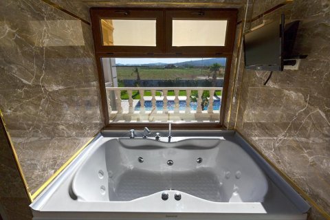 Villa for sale  in Milas, Mugla, Turkey, 5 bedrooms, 39000m2, No. 216193 – photo 4