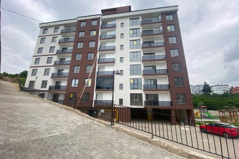Daire 1+1 Trabzon, Türkiye №228503